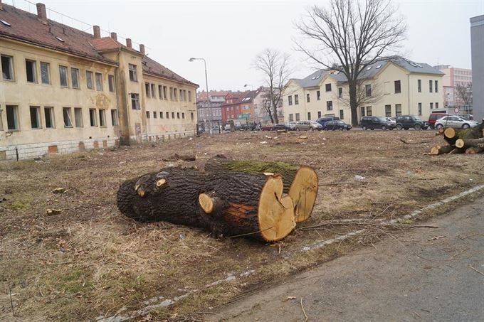 foto-qap-cz (12)