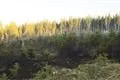 19_4_2018 požár lesního porostu Žlíbek (4)