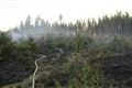19_4_2018 požár lesního porostu Žlíbek (2)