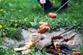 22_MŠ_akce _Zeleny poklad (33)
