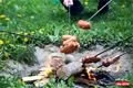 22_MŠ_akce _Zeleny poklad (33)