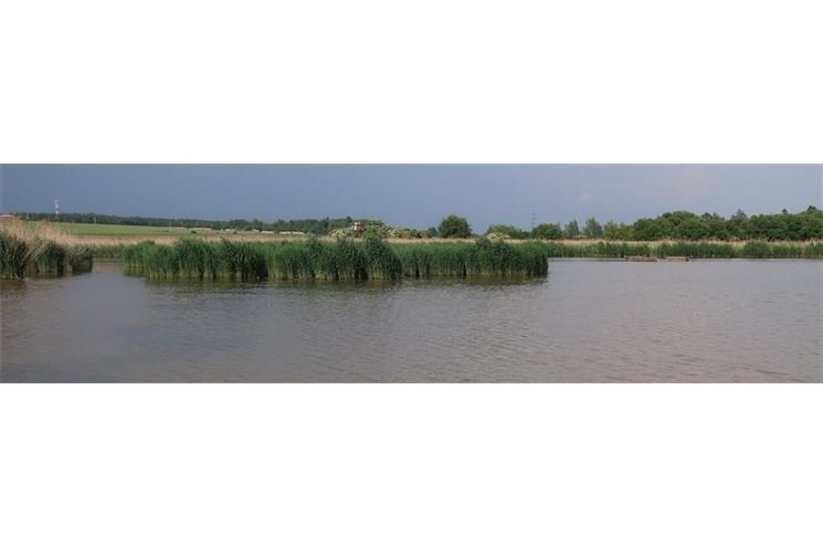 28.5. 2018 Rezervace Nový rybník (1)