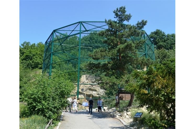 otevírání voliéry, foto M. Vobruba 29.5.2018 (6)