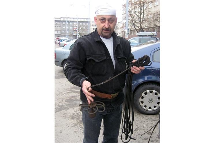 Pavel Krysl1