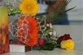 DSC05003