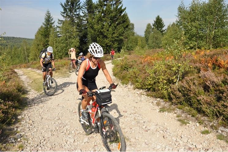 02_V Brdech jezdí rádi i bikeři_foto Radka ŽÁKOVÁ (1) 02_V Brdech jezdí rádi i bikeři_foto Radka ŽÁKOVÁ (1)