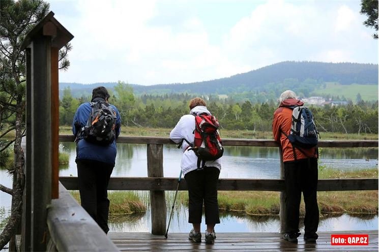 Chalupská slať Šumava foto QAP (11) Chalupská slať Šumava foto QAP (11)
