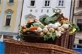 foto-qap-cz (2)