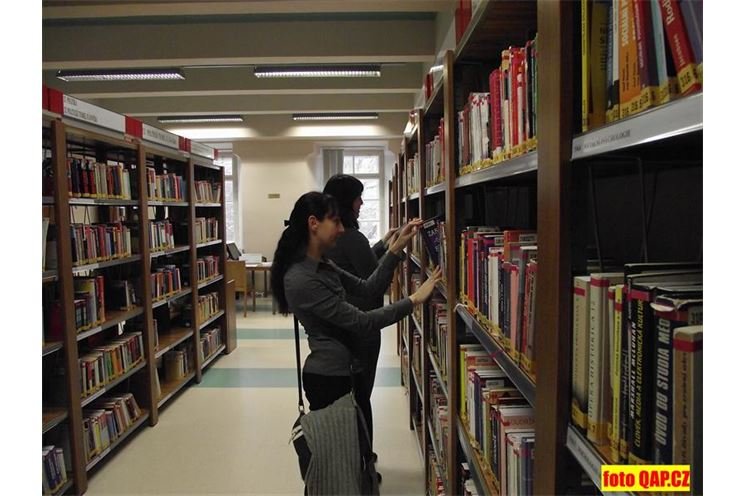 knihovna 017