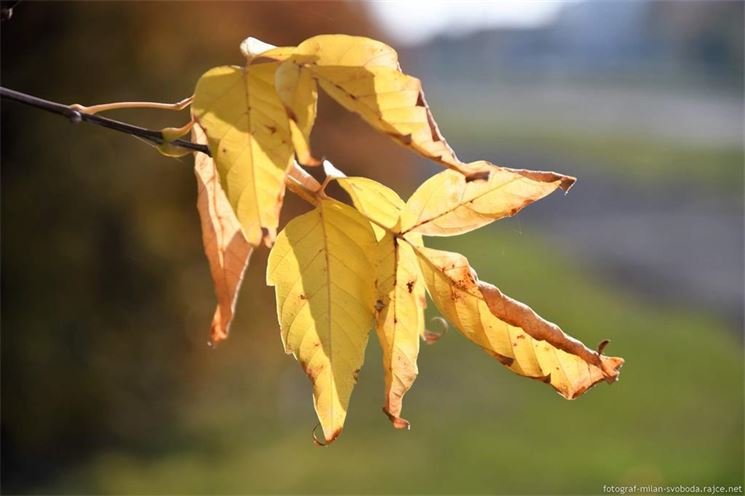 DSC_1626 DSC_1626