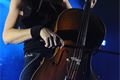 img00017