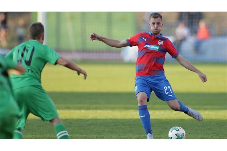 hajek_212019 hajek_212019