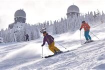Arber_Winter_2016 (1) Arber_Winter_2016 (1)