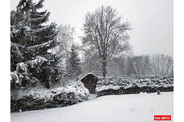 šumava_foto_QAP (3)