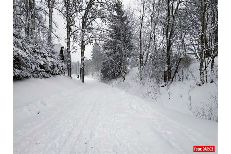 šumava_foto_QAP (4) šumava_foto_QAP (4)