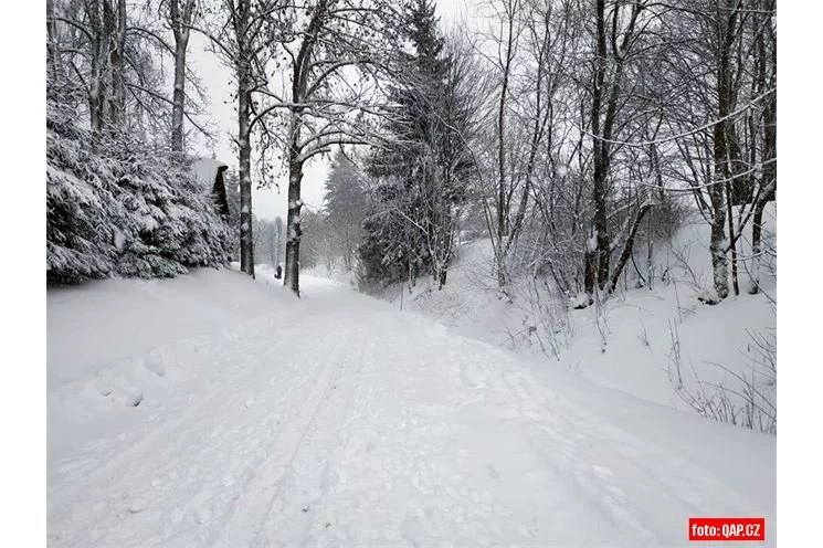 šumava_foto_QAP (4)