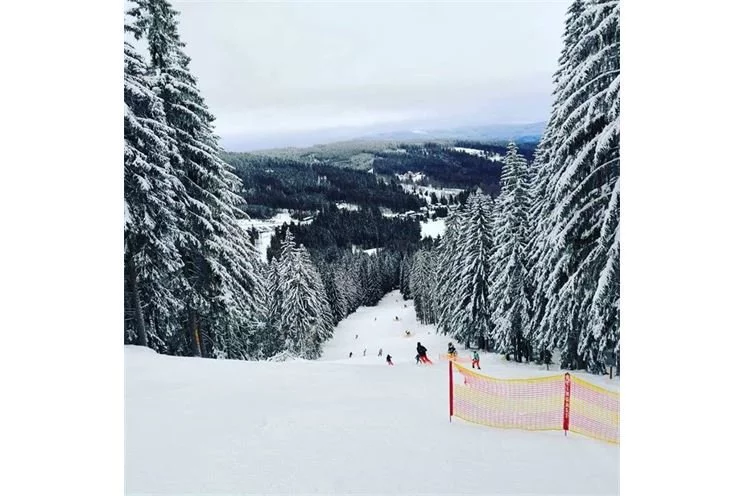 špičák (2)