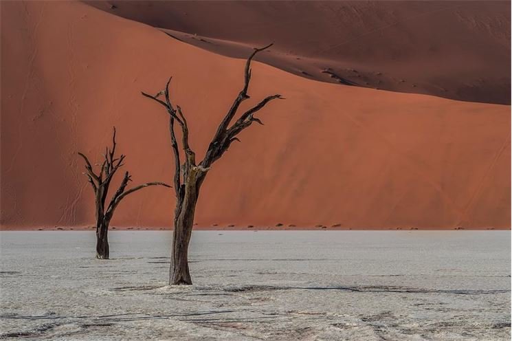 Namibie, Andrea Fojtíková