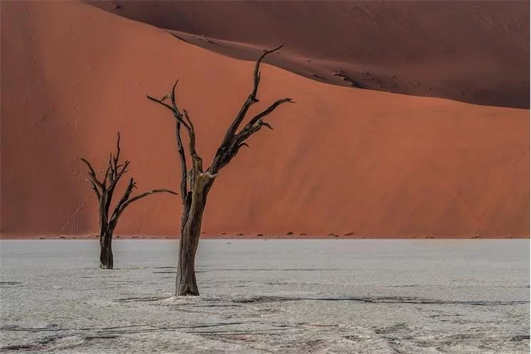 Namibie, Andrea Fojtíková