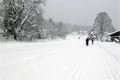 Bežecké centrum Bavorská Ruda (4)
