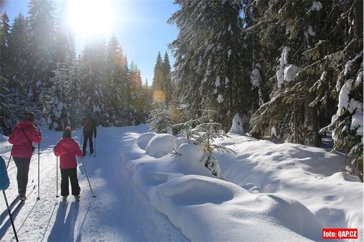 Modrava a okolí_19_ledna_2019 (34)