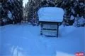 Modrava a okolí_19_ledna_2019 (39)