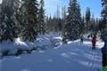 Modrava a okolí_19_ledna_2019 (42)