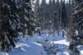 Modrava a okolí_19_ledna_2019 (43)