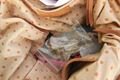 2019-4-3-1031DSCN1769