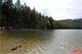 Čertovo jezero