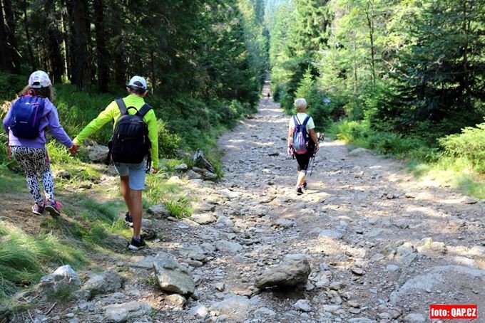 Strmá cesta k Černému jezeru, je plná kamenů a kořenů