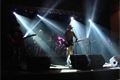 DSC01880