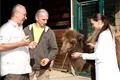 krtiny-velbloudice-aiko- (1)