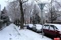 plzen 13_12_2019 (6)