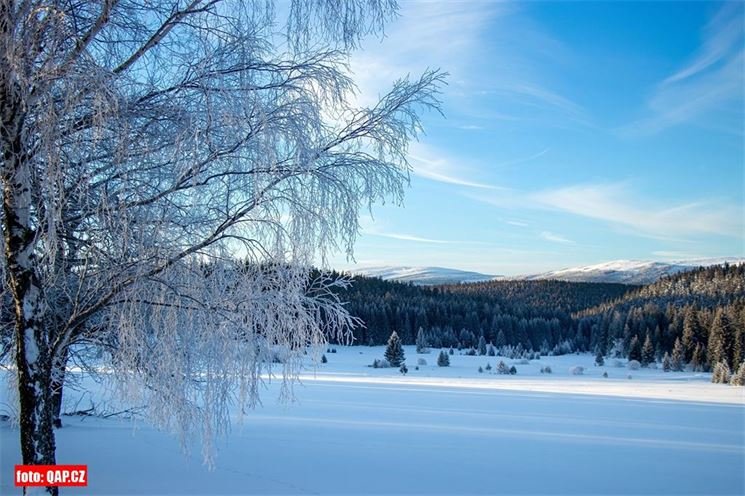 Šumava zima foto Milan Janoch (1)