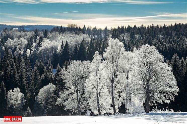 Šumava zima foto Milan Janoch Šumava zima foto Milan Janoch
