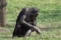 zoo 005