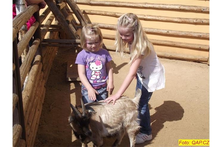 zoo 045