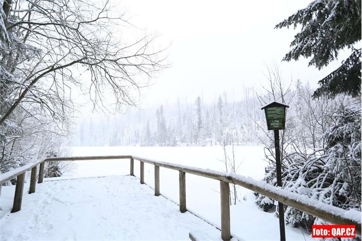 Jezero Laka Šumava (7)