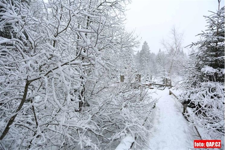 Jezero Laka Šumava (16)