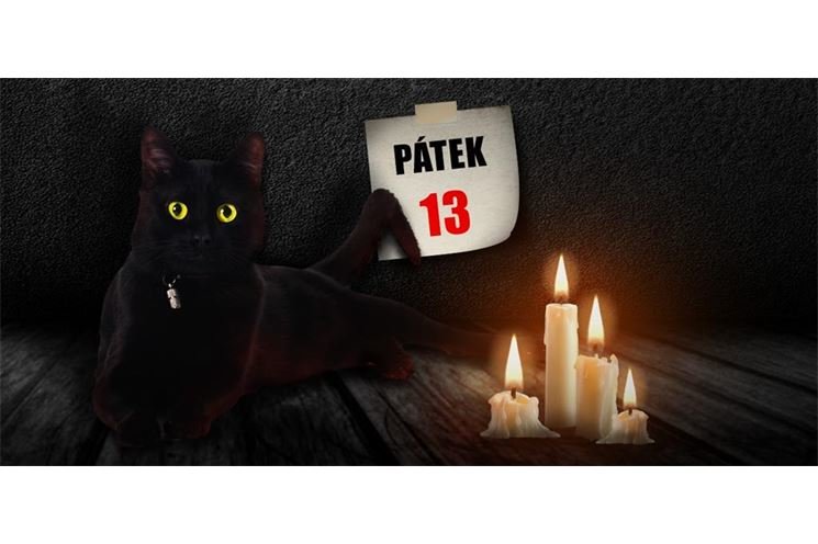 Patek13_kocicka Patek13_kocicka