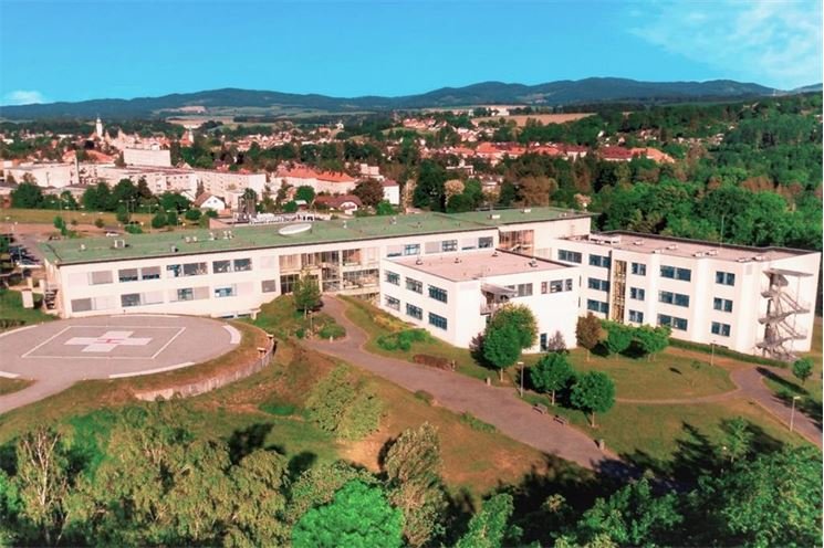 domažlicka n domažlicka n