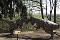 dinopark 008