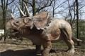dinopark 014