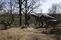 dinopark 016