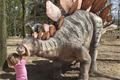 dinopark 019