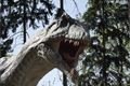 dinopark 030