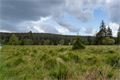 DSC04627-Edit