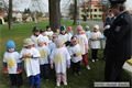 img00002