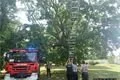378497_3 (1)